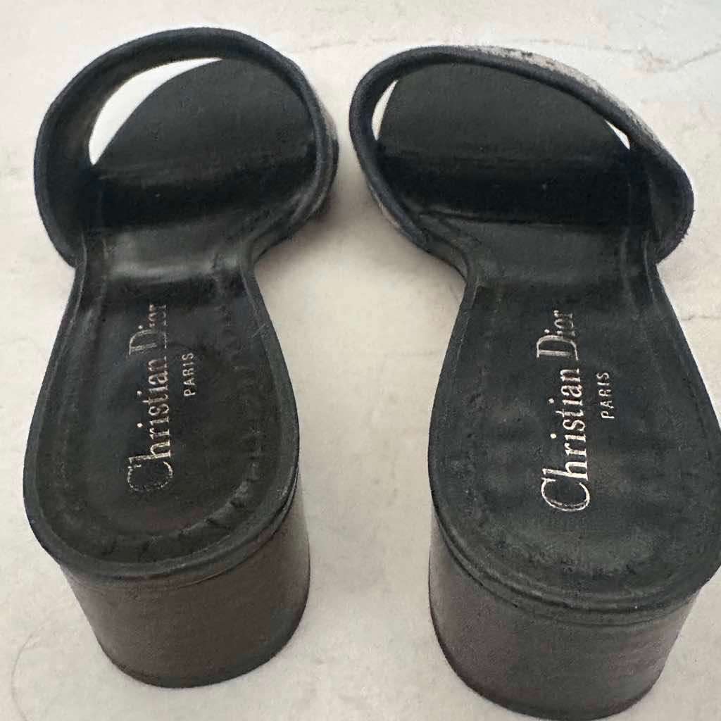 Christian Dior Dway Slide Sandals Navy Canvas Good - Box View