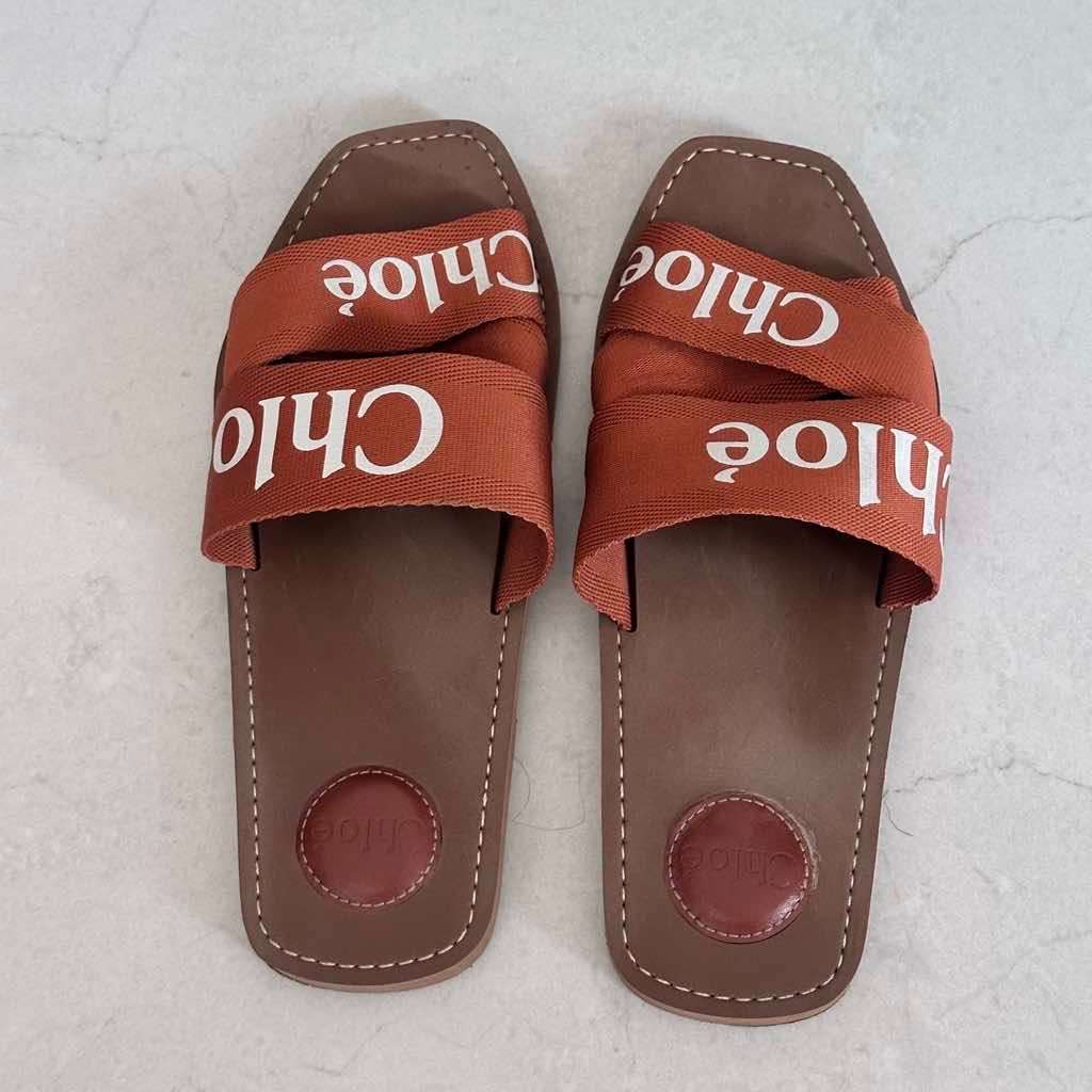 Chloé Woody Flat Slides 40 Brown Canvas Good condition - Back View