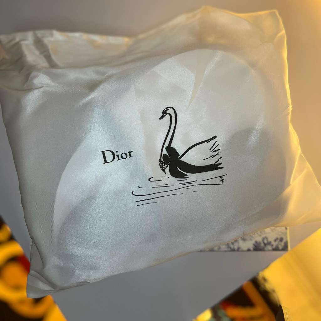 Dior Saddle Bag Black Never worn, with tag - Box View