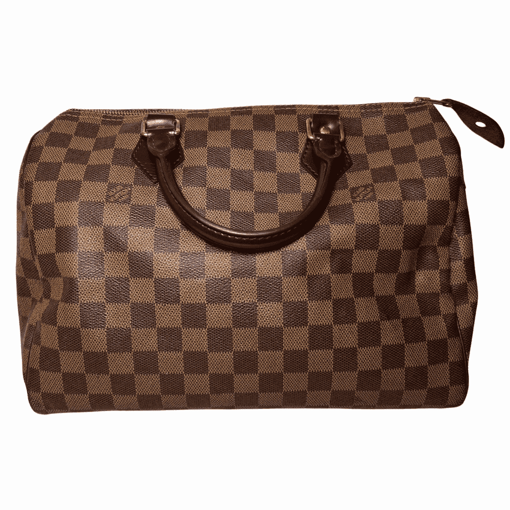 Louis Vuitton Speedy Brown Canvas Bronze Fair - Back View