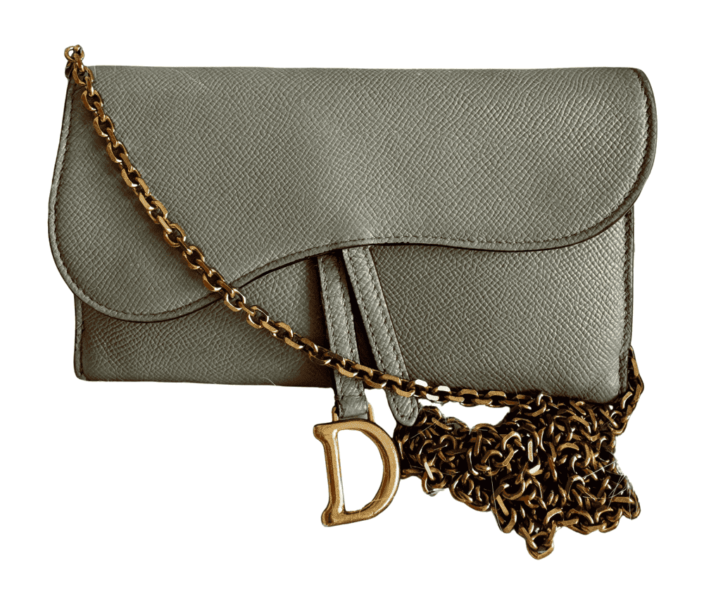Dior Saddle WOC Grey Leather Good - Front View