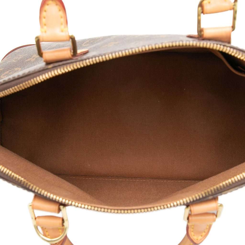 Louis Vuitton Monogram Alma PM Brown Very good - Model View