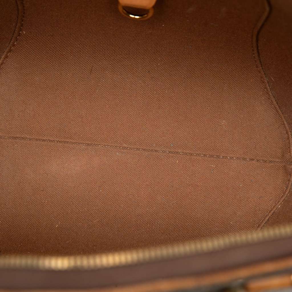 Louis Vuitton Monogram Ellipse PM Brown Good - Model View
