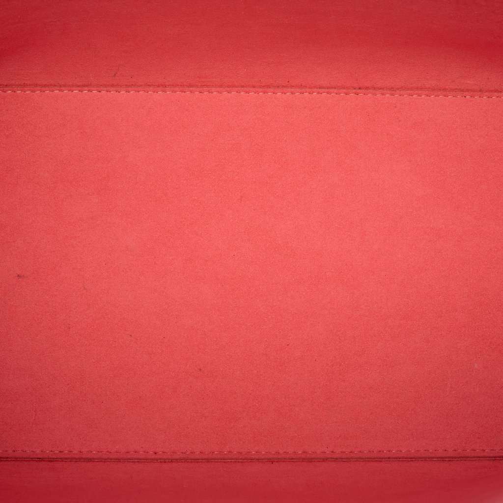Louis Vuitton Epi Neverfull MM Pink Leather Very good - Model View
