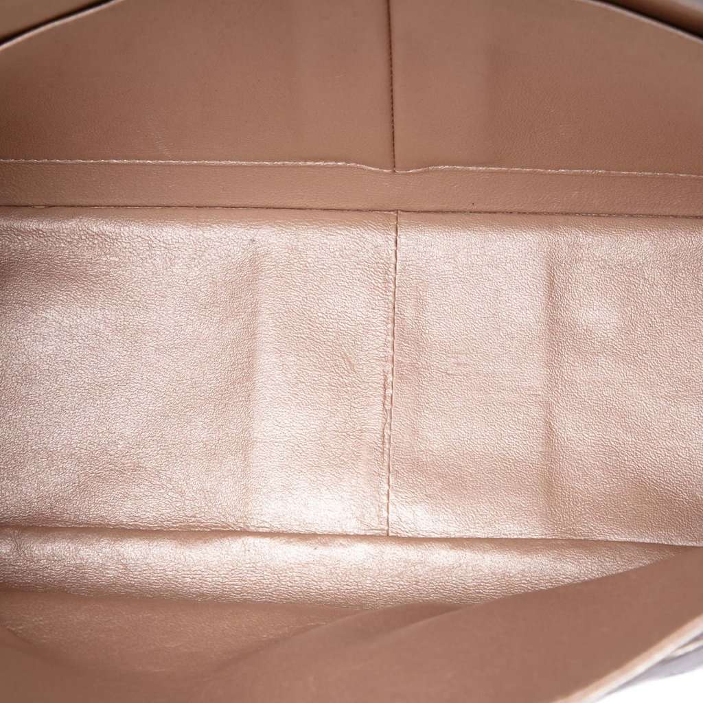 Chanel Quilted Iridescent Lambskin Reissue 2.55 Double Flap 227 Pink Leather Very good condition - Model View