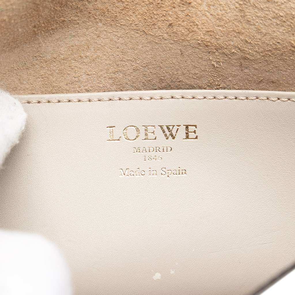 Loewe Bicolor Leather Anagram Ines Flap Crossbody Other Leather Very good condition - Box View