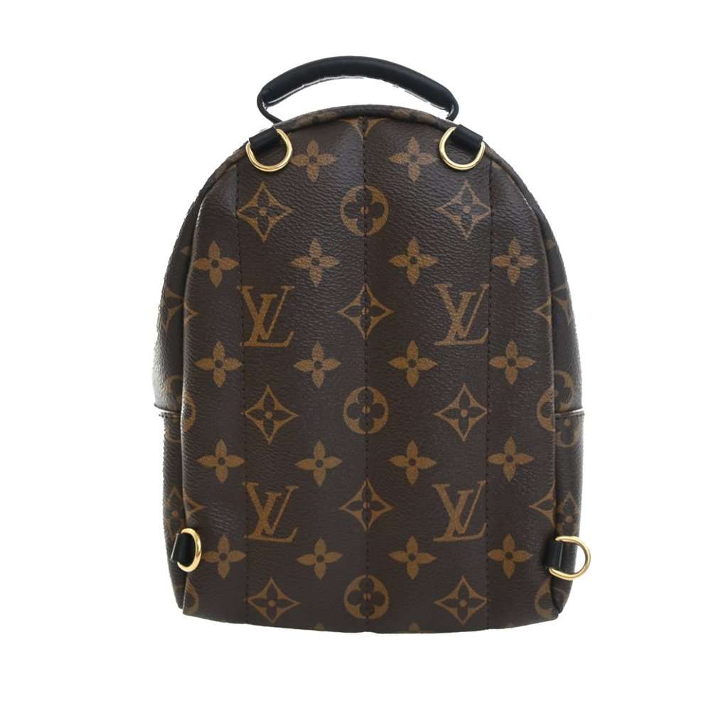 Louis Vuitton Monogram Mini Palm Springs Brown Very good condition - Back View