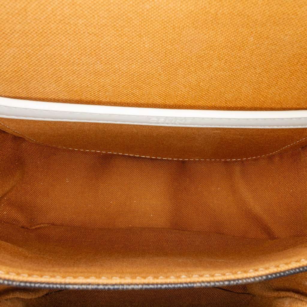 Celine Medium Triomphe Coated Canvas Folco Crossbody Brown Very good - Model View