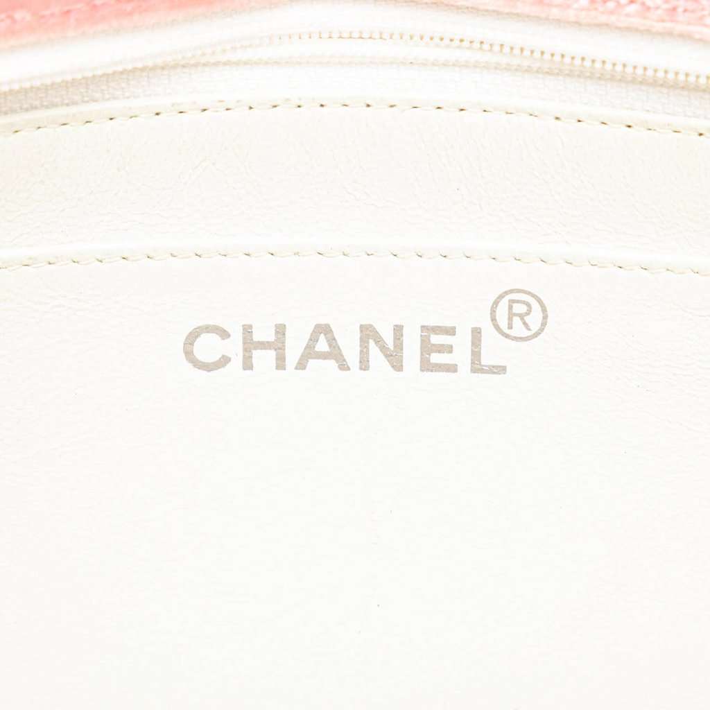 Chanel Medium Micro Quilted Velvet CC Flap Pink Good - Box View