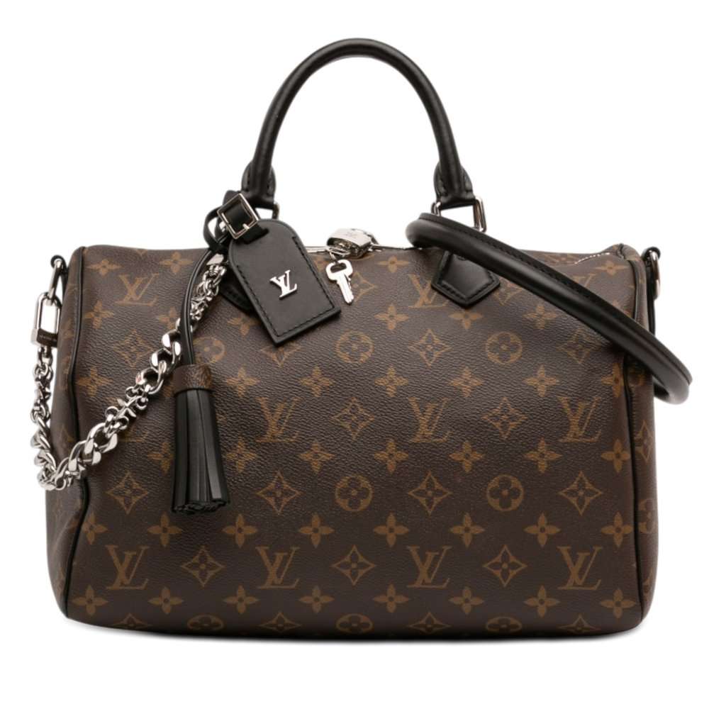 Louis Vuitton Monogram Speedy Soft 30 Dark Brown Very good condition - Front View