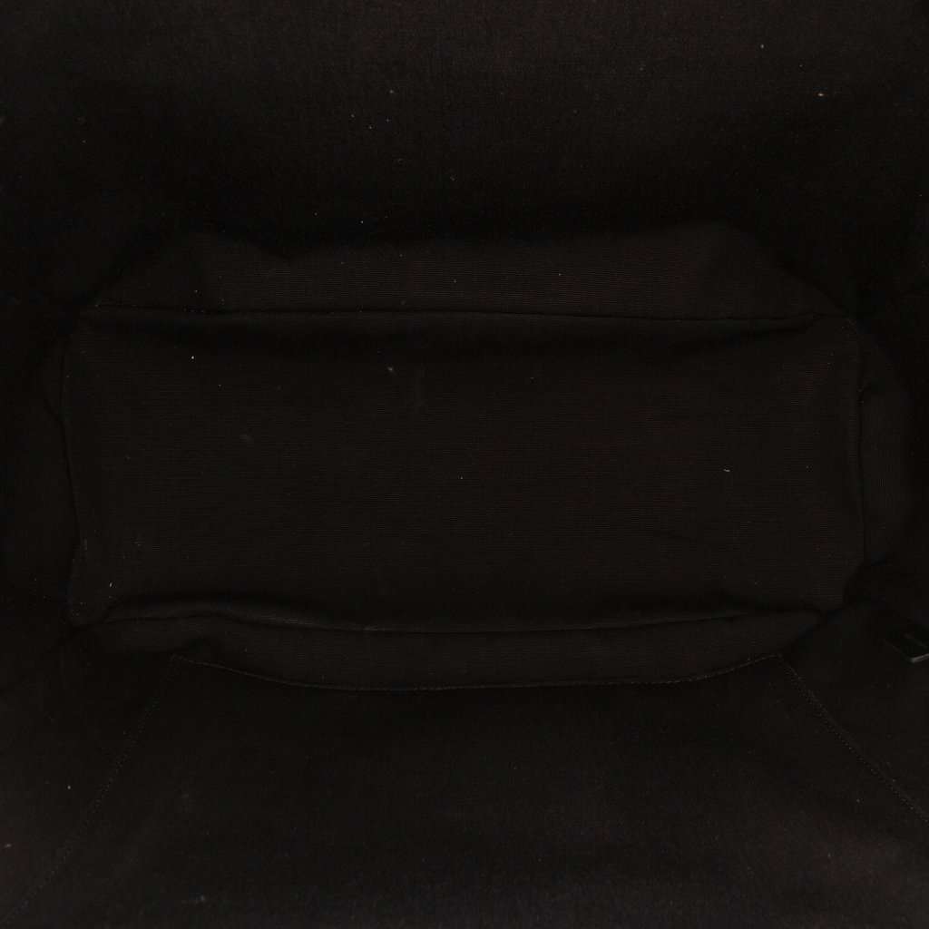 Celine Medium Triomphe Coated Canvas Backpack Brown Very good - Model View