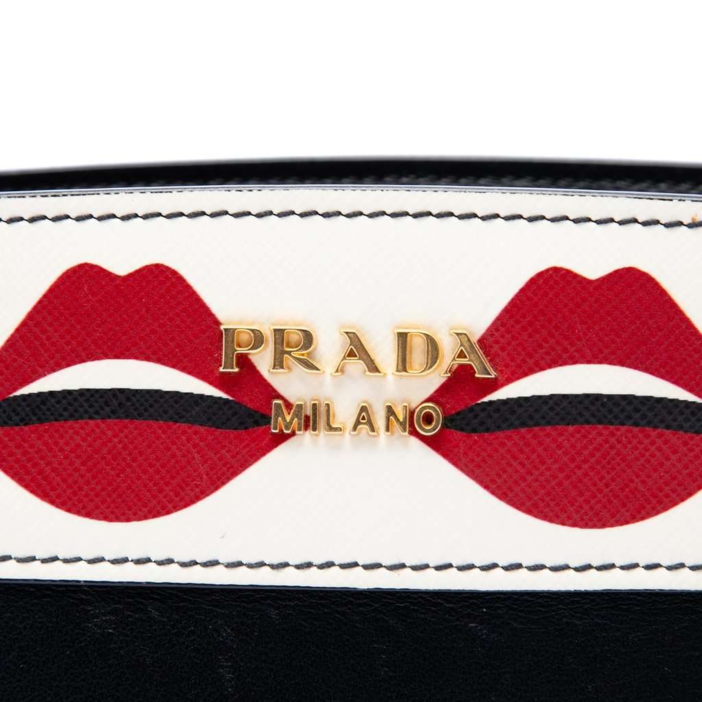 Prada City Calf and Saffiano Lip Print Esplanade Crossbody Black Leather Very good condition - Box View