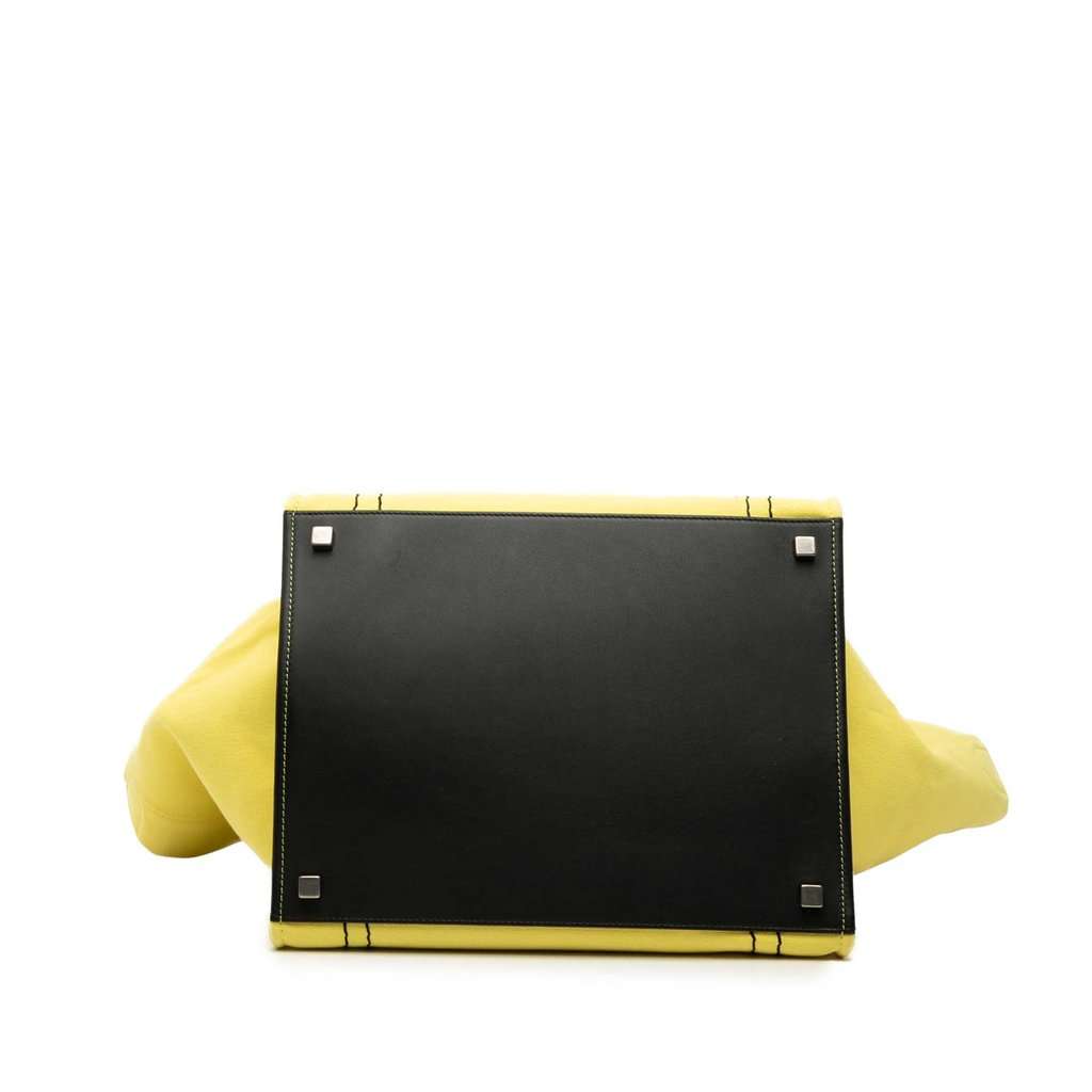 Celine Medium Canvas Phantom Luggage Tote Yellow Very good - Inside View