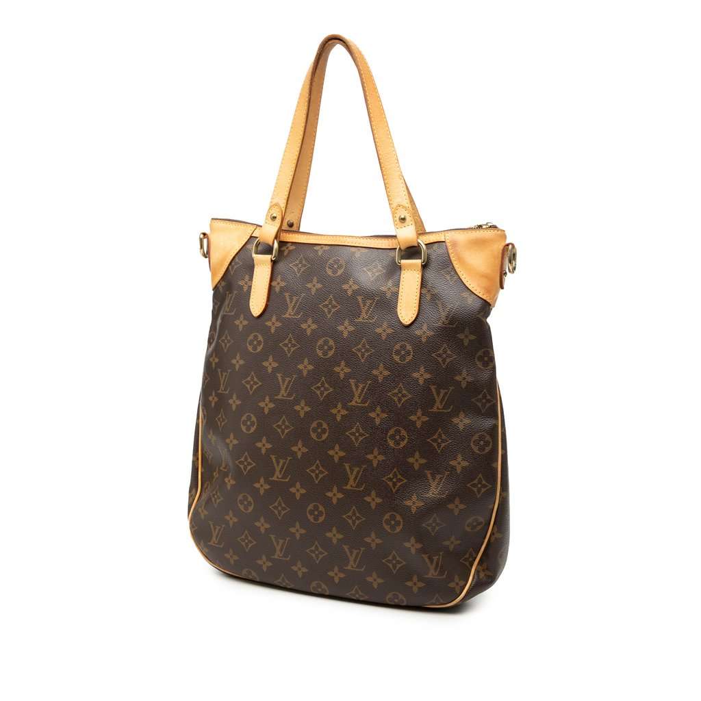 Louis Vuitton Monogram Odeon GM Brown Very good condition - Back View