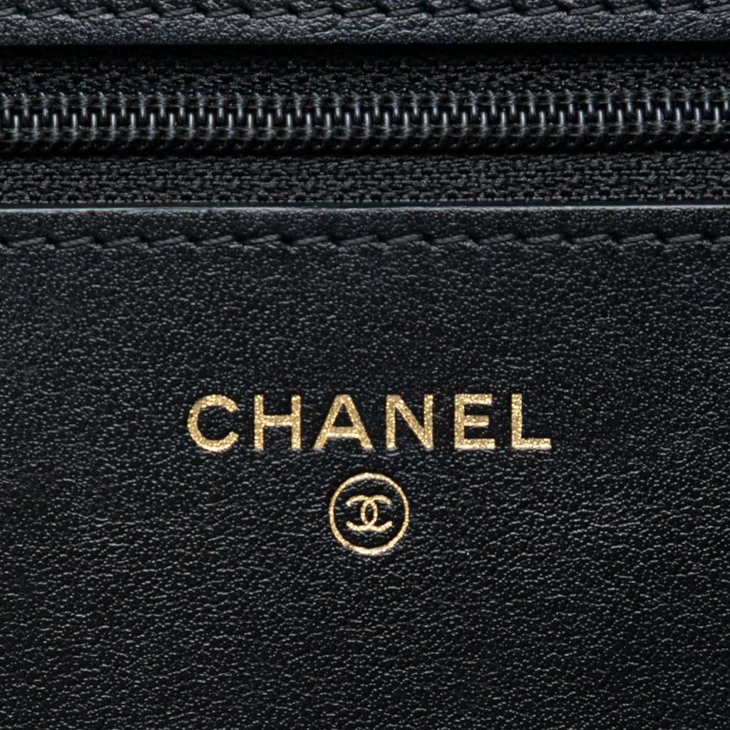 Chanel Quilted Aged Calfskin Reissue 2.55 Wallet on Chain Black Leather Very good condition - Box View