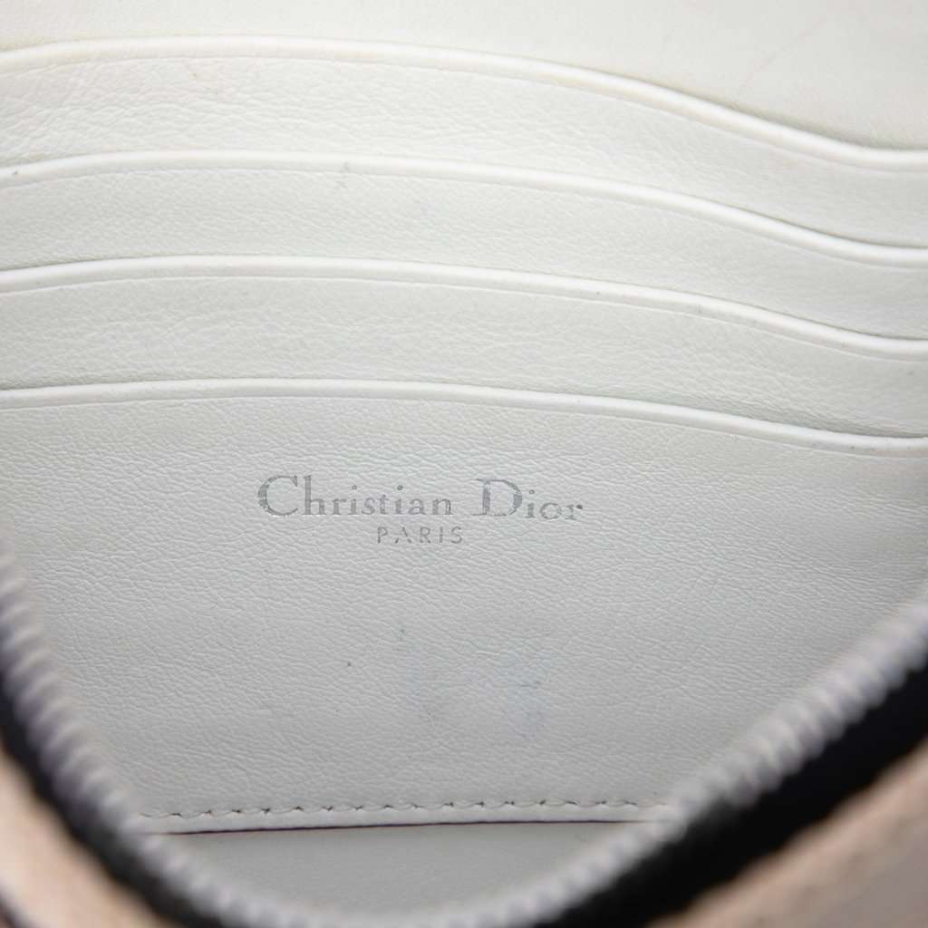 Dior Technical Fabric Mesh Embroidered Flat Stardust Pouch with Chain Beige Very good - Box View