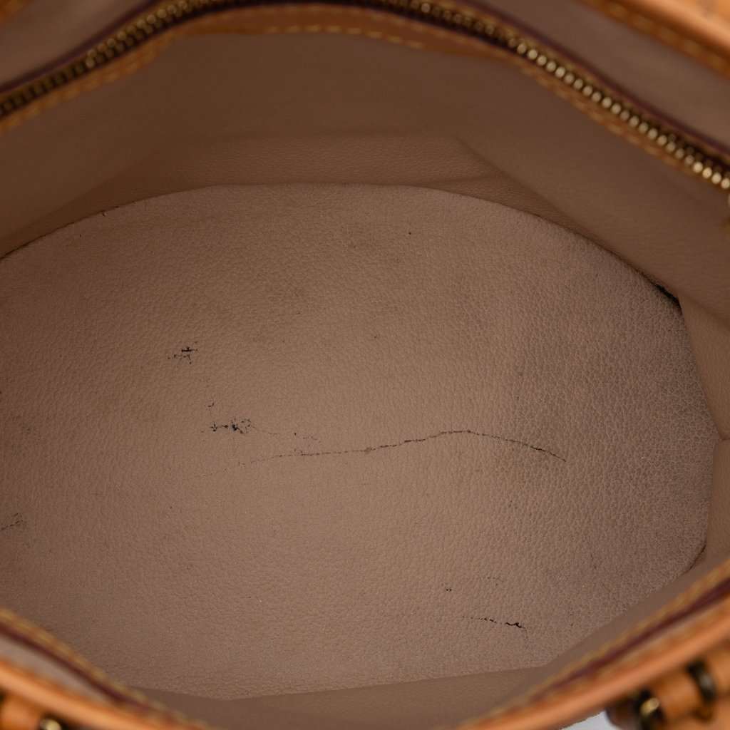 Louis Vuitton Monogram Petit Bucket Brown Very good condition - Model View