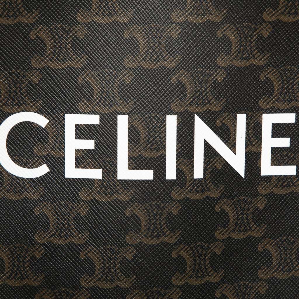 Celine Mini Triomphe Coated Canvas Vertical Cabas Satchel Brown Very good condition - Box View