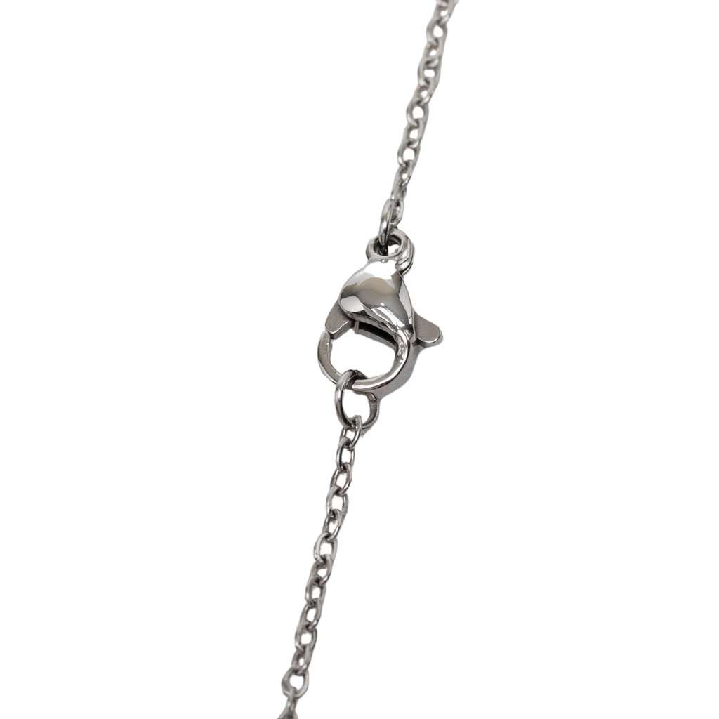 Hermès Palladium Plated Lacquered Cage D H Pendant Necklace Silver Metal Very good - Box View