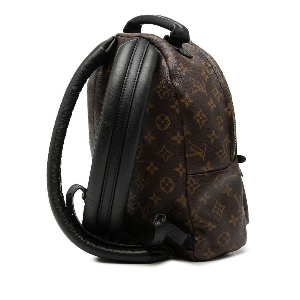 Louis Vuitton Monogram Palm Springs PM Brown Good condition - Back View