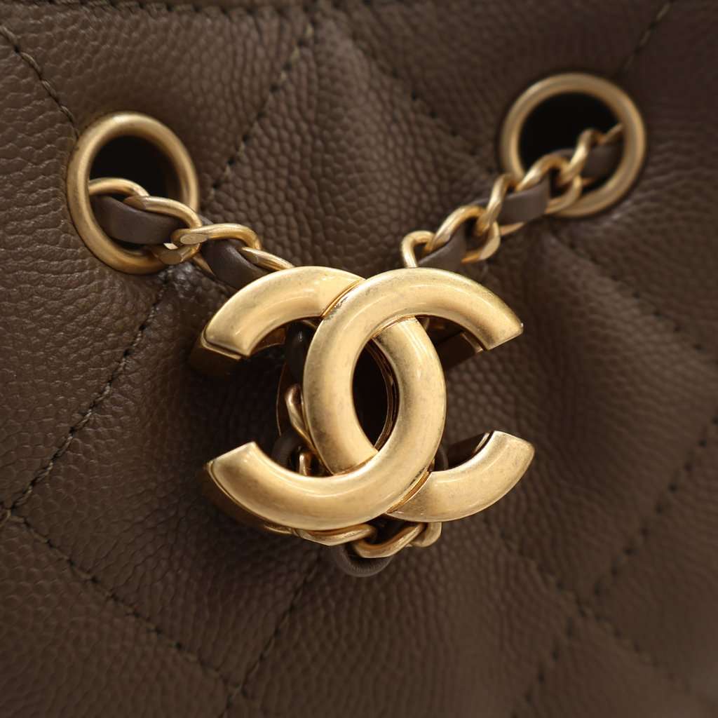 Chanel Mini Quilted Caviar Chanel 25 Hobo Brown Leather Very good condition - Model View