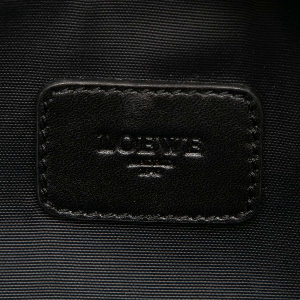 LOEWE Metallic Goatskin Amazona 36 Brown Leather Very good - Box View