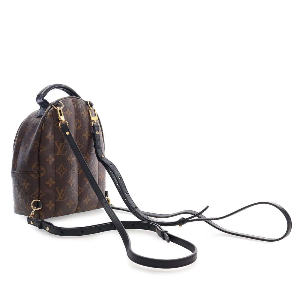 Louis Vuitton Monogram Mini Palm Springs Brown Very good condition - Back View
