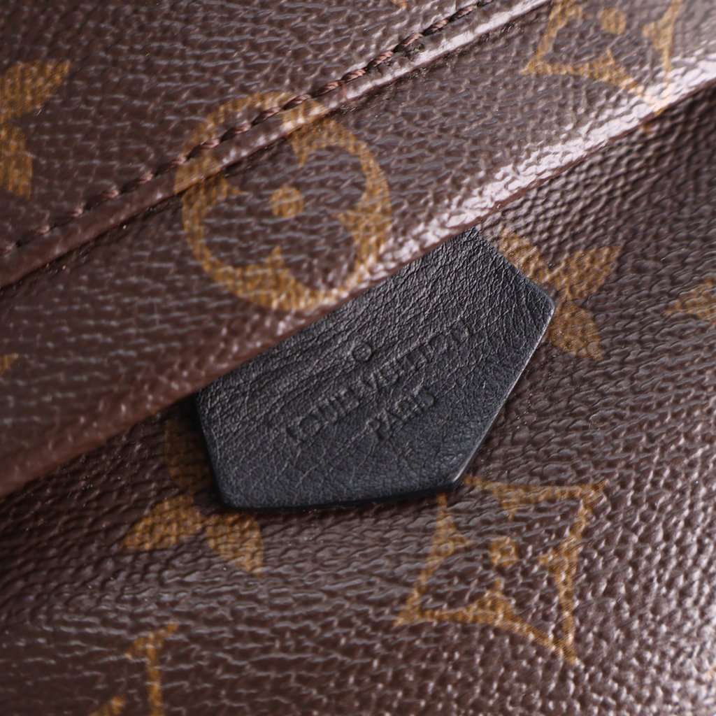 Louis Vuitton Monogram Mini Palm Springs Brown Very good condition - Model View