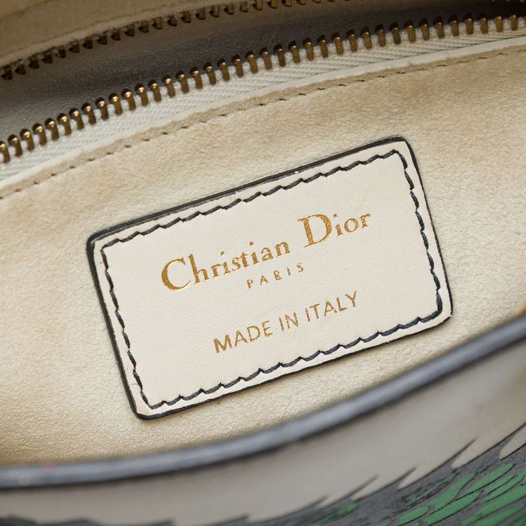 Dior Limited Edition Niki De Saint Phalle Mini Calfskin Dragon Lady Dior White Leather Very good condition - Box View