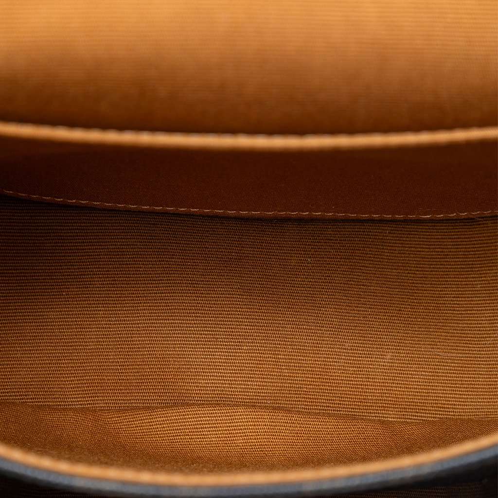 Celine Medium Triomphe Coated Canvas Folco Crossbody Brown Very good condition - Model View