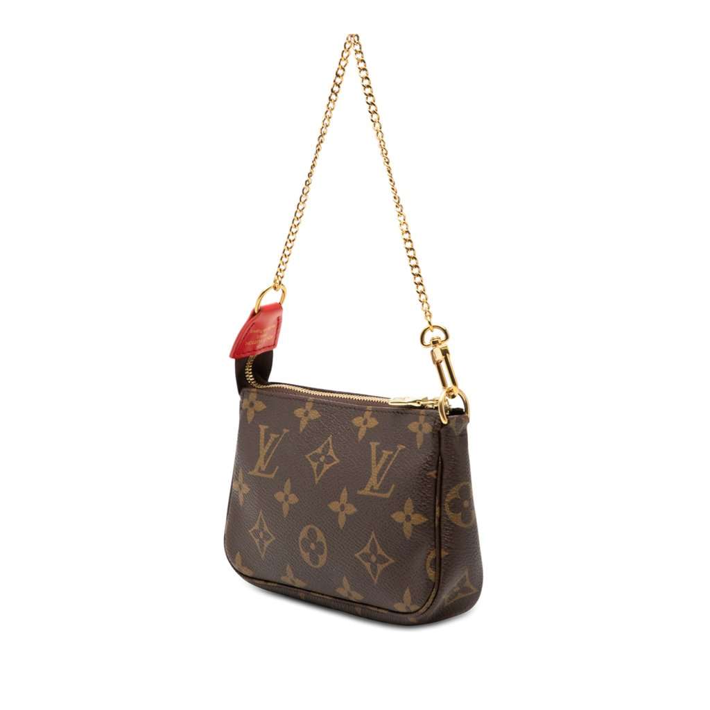 Louis Vuitton Monogram Vivienne Christmas Mini Pochette Accessoires Brown Very good condition - Back View