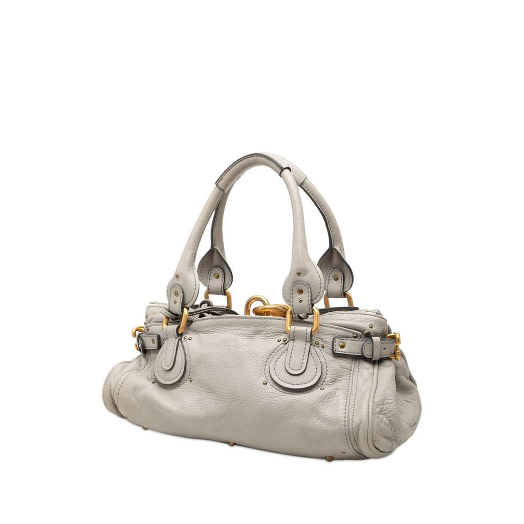 Chloé Leather Paddington Handbag MultiColor Leather Very good condition - Back View