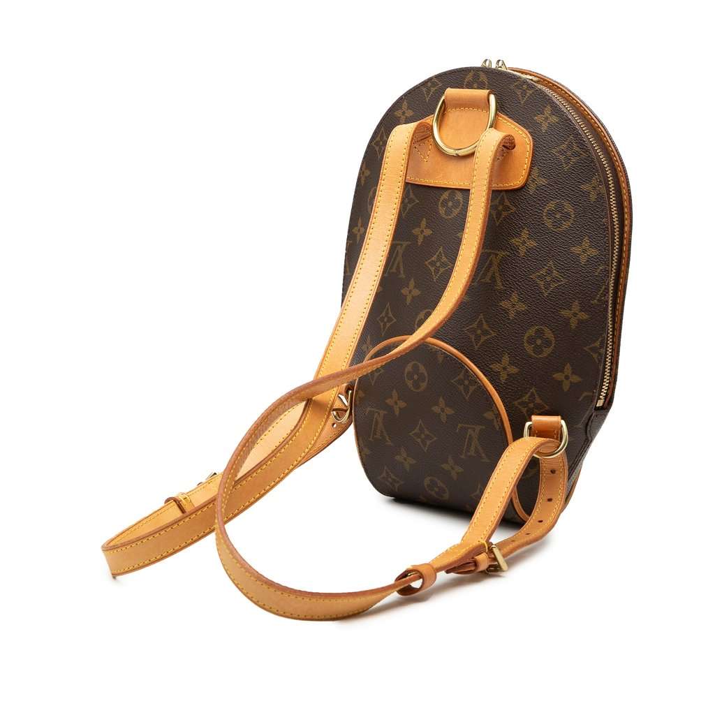 Louis Vuitton Monogram Ellipse Sac a Dos Backpack Brown Very good condition - Back View