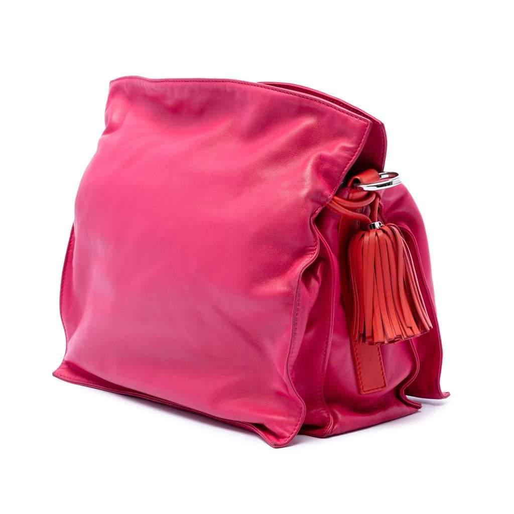 LOEWE Bicolor Nappa Flamenco Tassel 30 Crossbody Pink Leather Very good - Back View
