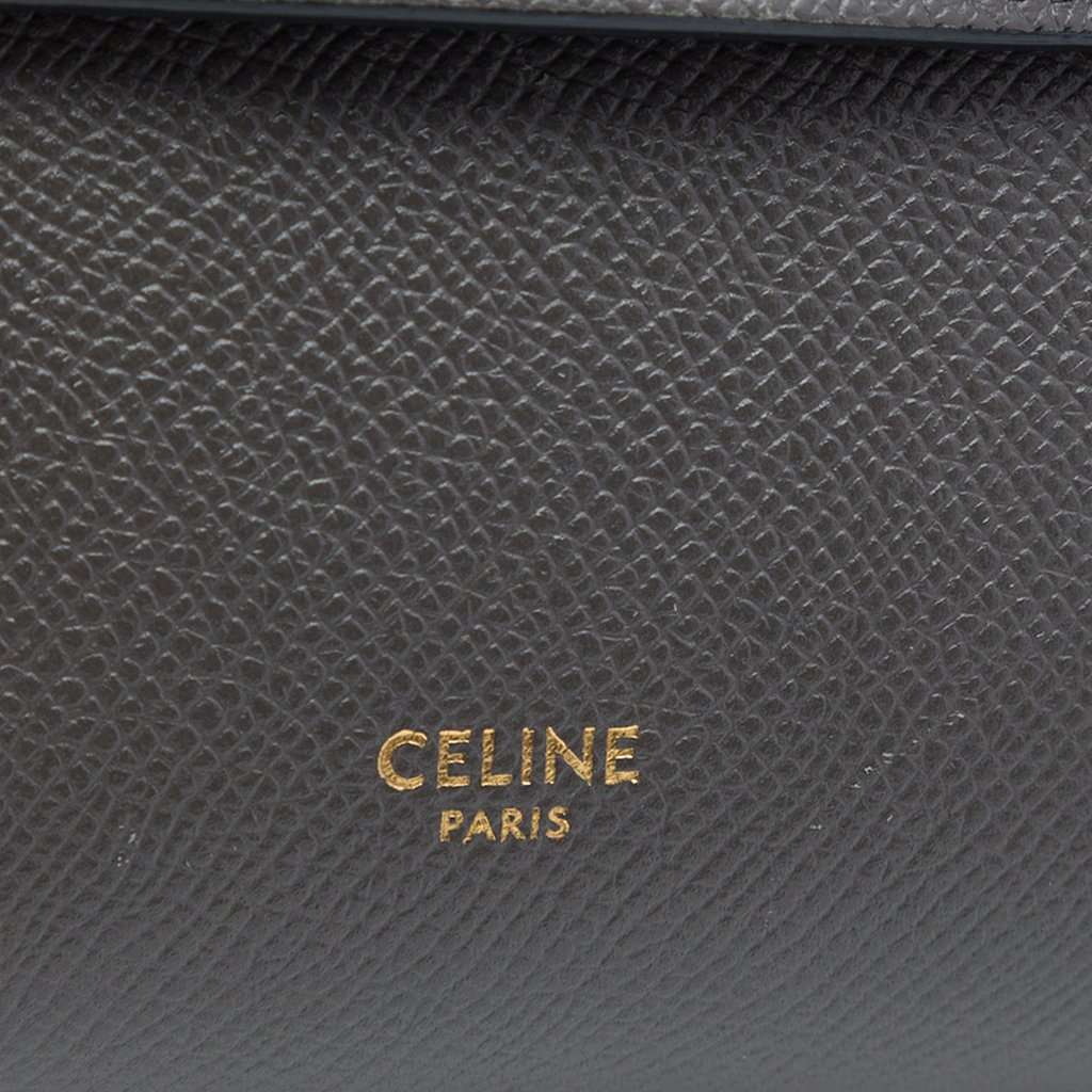 Celine Pico Grained Calfskin Belt Bag MultiColor Leather Very good - Box View