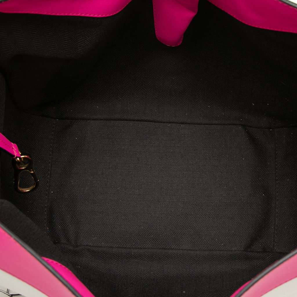 LOEWE Small Bicolor Calfskin Hammock Bag Pink Leather Very good condition - Model View