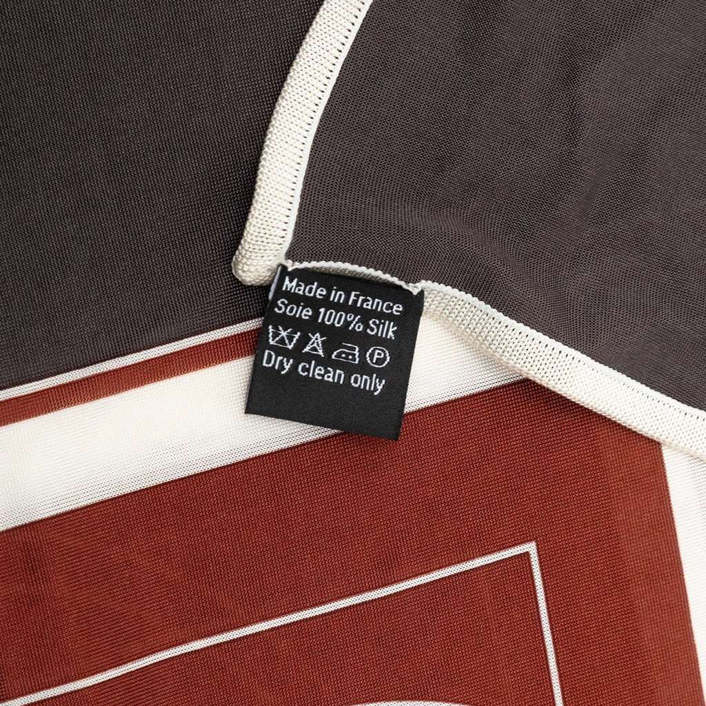 Hermès Ex Libris Fluide Silk Scarf Brown Very good - Model View
