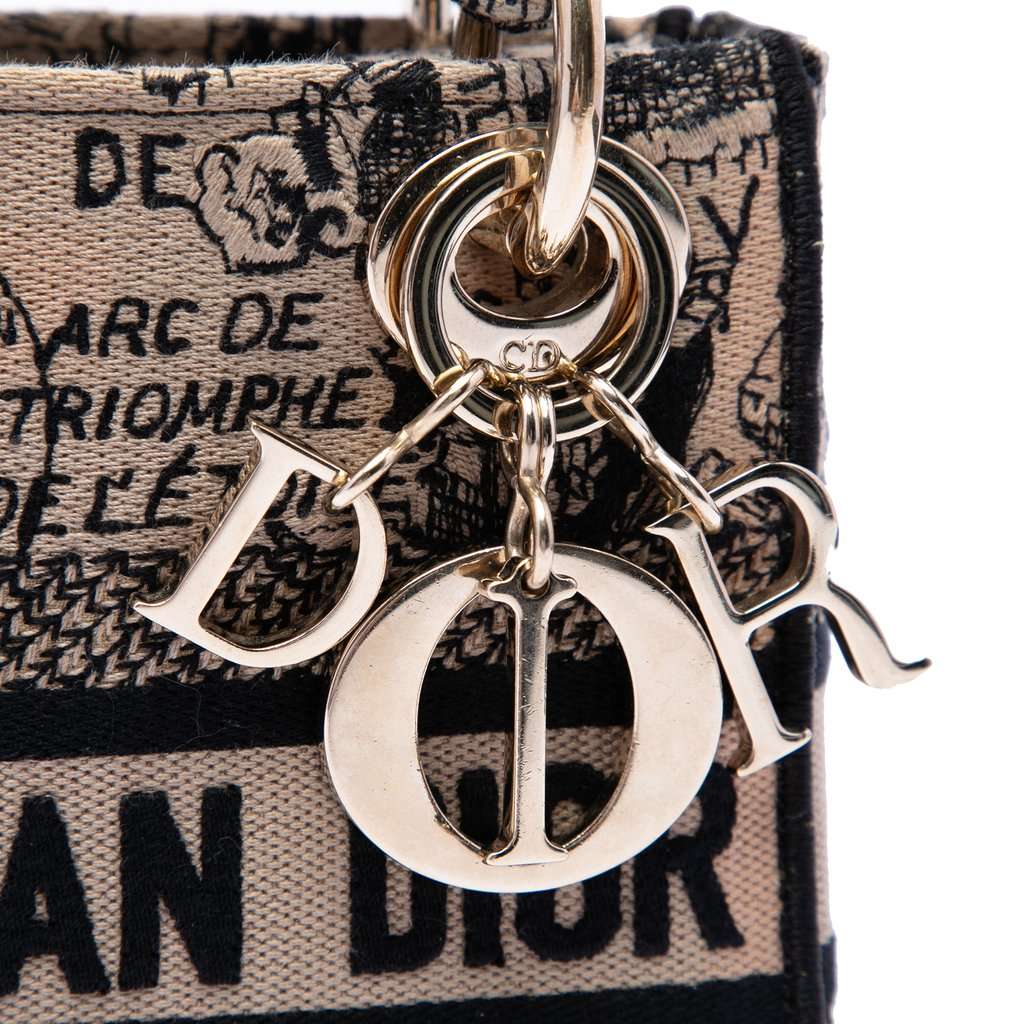 Dior Mini Embroidered Canvas Plan de Paris Lady D Lite Beige Very good - Box View