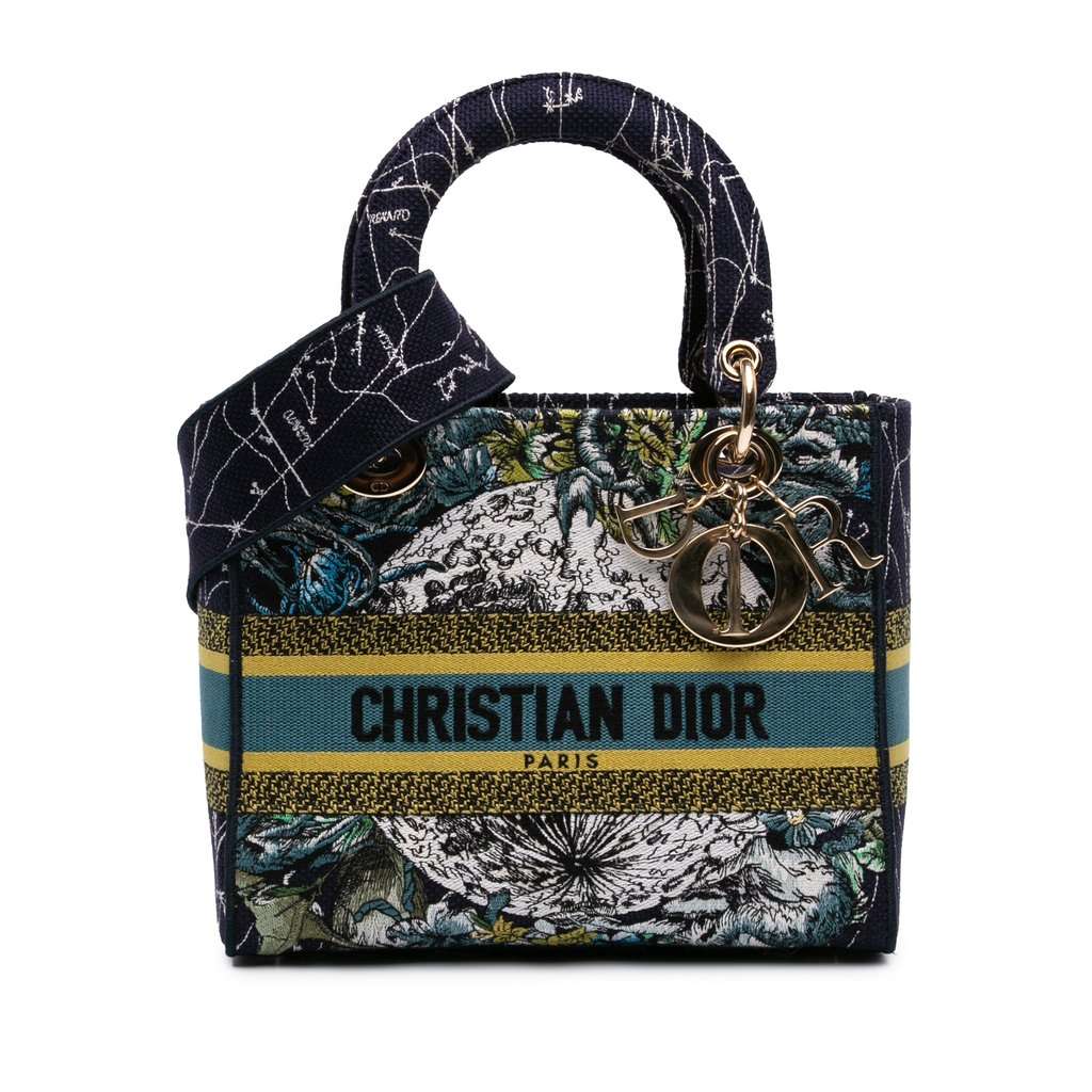 Dior Medium Embroidered Canvas Zodiac Lady D Lite Blue Very good condition - Front View