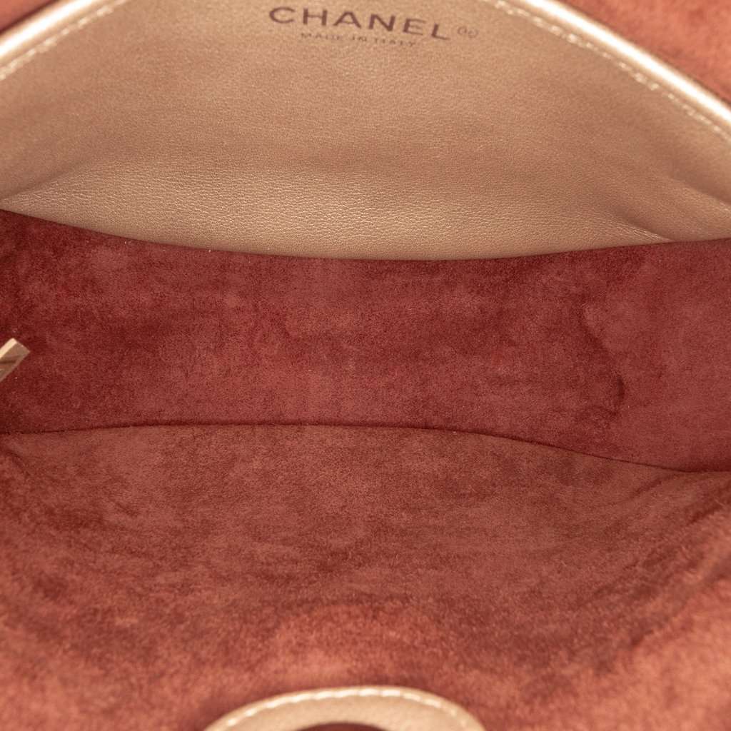 Chanel Small Quilted Metallic Calfskin Jungle Stroll Hobo Pink Leather Very good - Model View