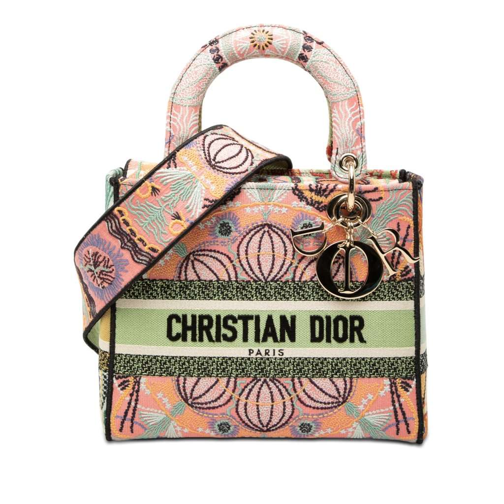Dior Medium Embroidered Canvas In Lights Lady D Lite Pink Very good - Front View
