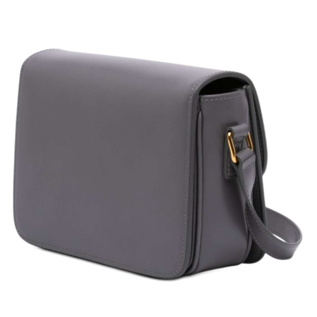Celine Teen Shiny Calfskin Triomphe Crossbody MultiColor Leather Very good condition - Back View