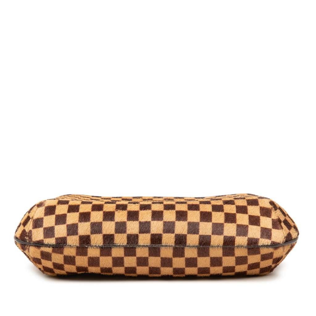Louis Vuitton Damier Sauvage Tigre Brown Very good condition - Inside View