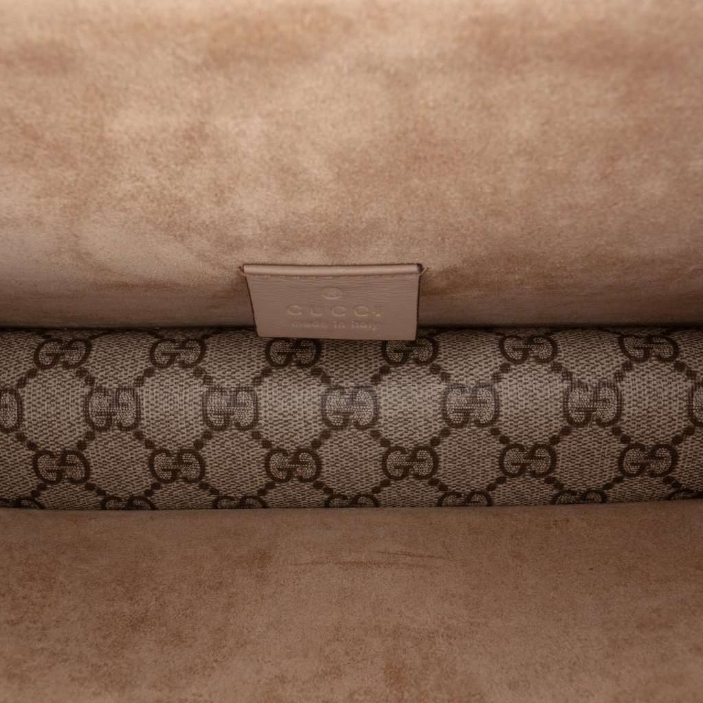 Gucci Medium GG Supreme Dionysus Crossbody Beige Very good - Model View