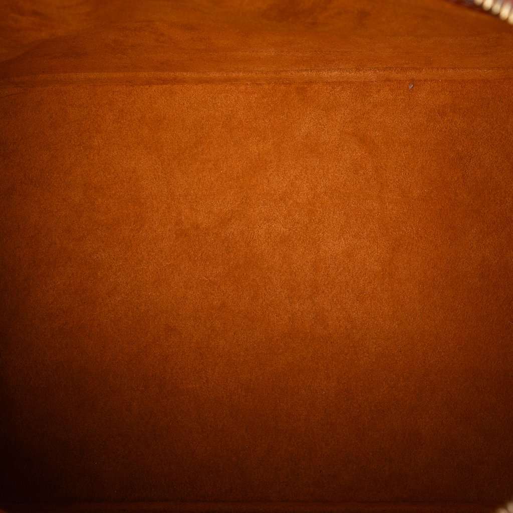 Louis Vuitton Epi Alma PM Brown Leather Very good - Model View