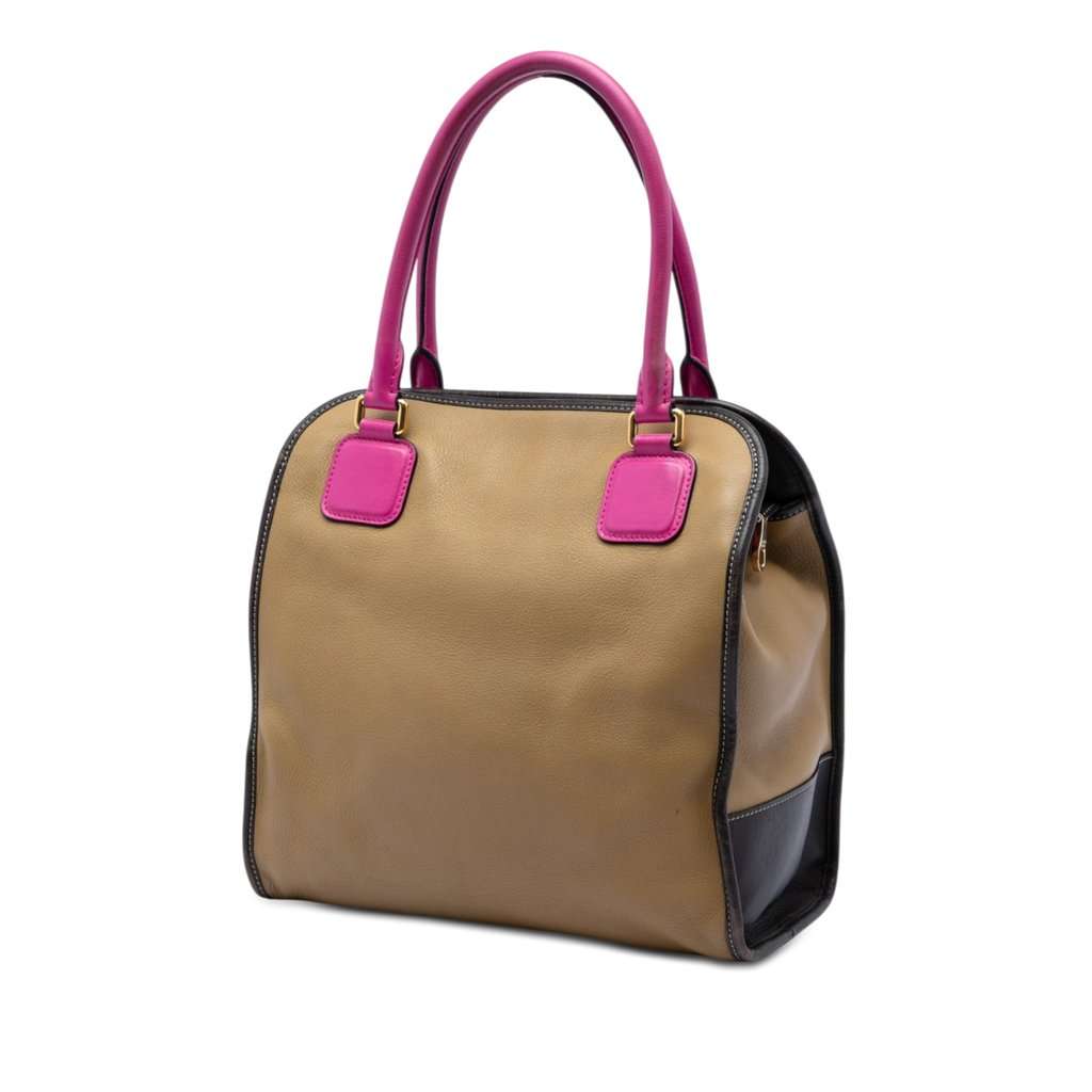 LOEWE Tricolor Leather Anagram Handbag Brown Leather Very good condition - Back View