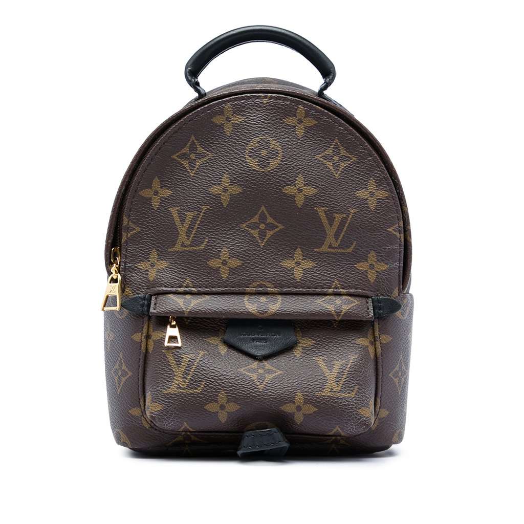 Louis Vuitton Monogram Mini Palm Springs Brown Very good condition - Front View