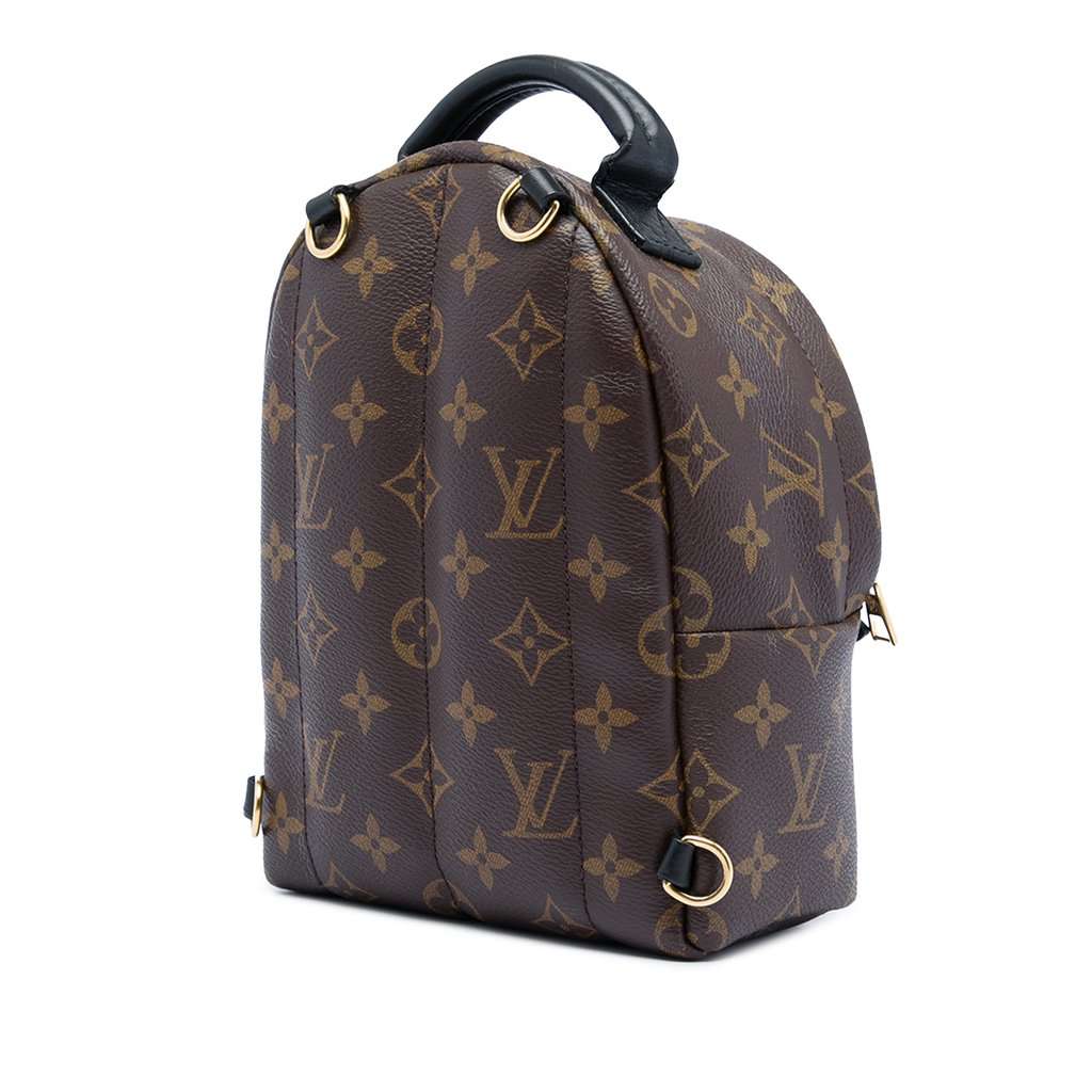 Louis Vuitton Monogram Mini Palm Springs Brown Very good condition - Back View