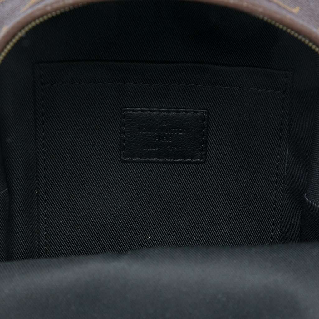 Louis Vuitton Monogram Mini Palm Springs Brown Very good condition - Model View