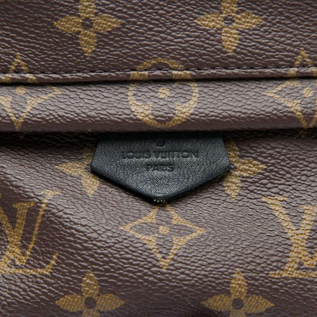 Louis Vuitton Monogram Mini Palm Springs Brown Very good condition - Box View